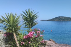 IMG_20260526_083357