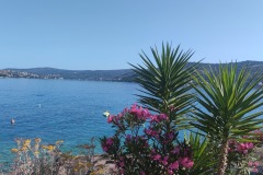 IMG_20260526_083407