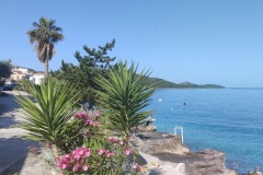 IMG_20260526_083441
